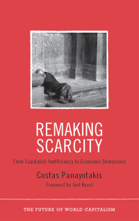 Cover image: Remaking Scarcity 1st edition 9780745330990