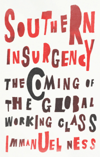 Titelbild: Southern Insurgency 1st edition 9780745335995