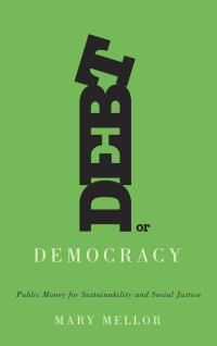 表紙画像: Debt or Democracy 1st edition 9780745335544