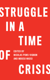 Cover image: Struggle in a Time of Crisis 1st edition 9780745336213