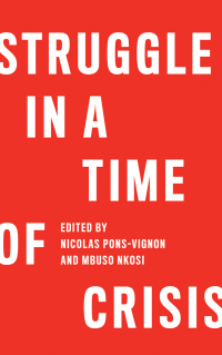 表紙画像: Struggle in a Time of Crisis 1st edition 9780745336213