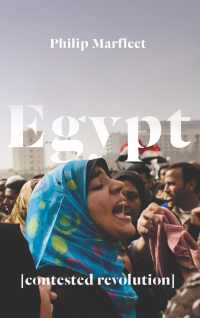 Omslagafbeelding: Egypt 1st edition 9780745335513