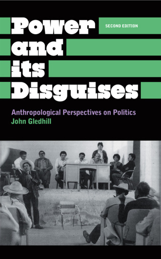 Cover image: Power and Its Disguises 2nd edition 9780745316857