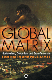 Cover image: Global Matrix 1st edition 9780745322902