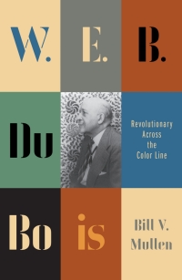 Cover image: W.E.B. Du Bois 1st edition 9780745335056