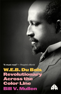 صورة الغلاف: W.E.B. Du Bois 1st edition 9780745335056