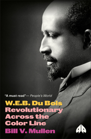 Cover image: W.E.B. Du Bois 1st edition 9780745335056