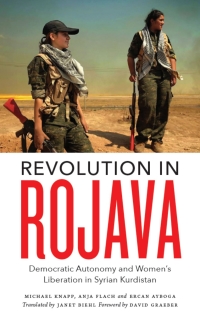 Cover image: Revolution in Rojava 1st edition 9780745336640