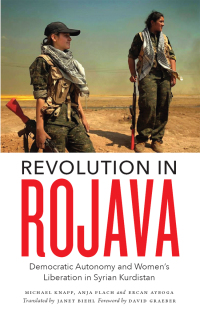 Cover image: Revolution in Rojava 1st edition 9780745336596