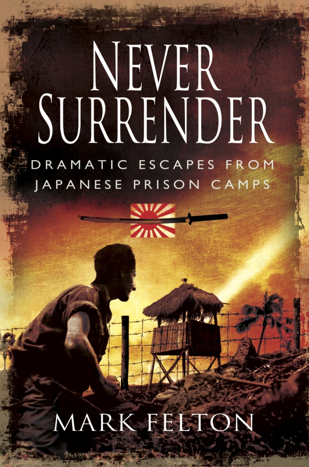 Never Surrender Dramatic Escapes from Japanese Prison Camps