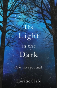 Cover image: The Light in the Dark 9781783964048