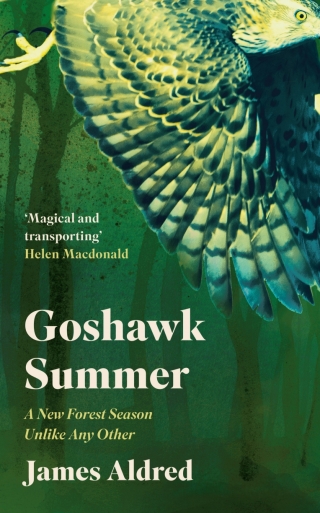 Cover image: Goshawk Summer 9781783966127