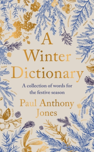 Cover image: A Winter Dictionary 9781783969067