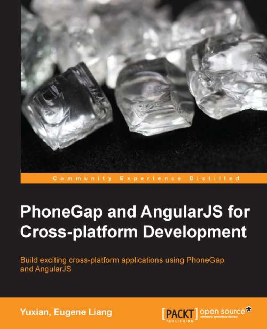 PhoneGap and AngularJS for Cross-platform Development 1st Edition