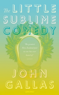 Cover image: The Little Sublime Comedy 1st edition 9781784104740