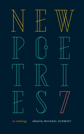 Cover image: New Poetries VII 9781784105587