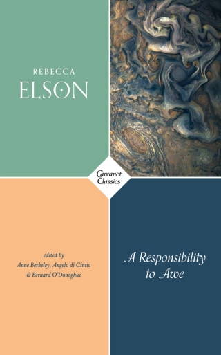 Cover image: A Responsibility to Awe 9781784106553