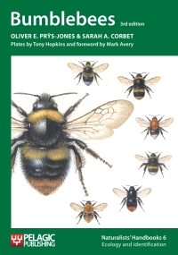 Cover image: Bumblebees 3rd edition 9781907807060