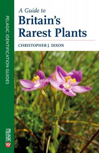 Cover image: A Guide to Britain's Rarest Plants 1st edition 9781784271466