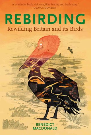 Cover image: Rebirding 1st edition 9781784271879