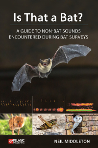 صورة الغلاف: Is That a Bat? 1st edition 9781784271978