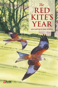 Cover image: The Red Kite’s Year 1st edition 9781784272005