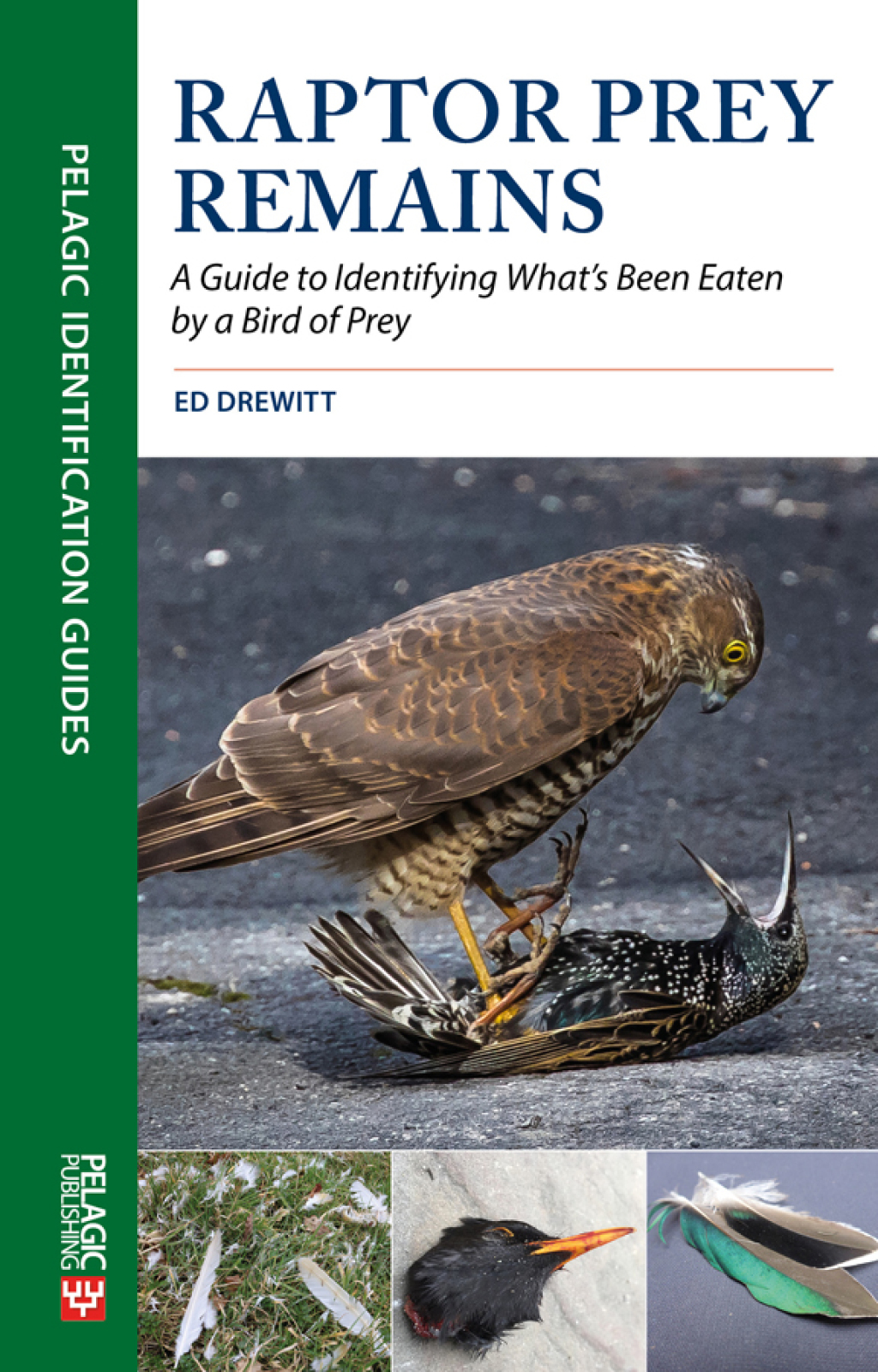 Raptor Prey Remains A Guide to Identifying What’s Been Eaten by a Bird of Prey 1st Edition