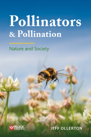 Immagine di copertina: Pollinators and Pollination 1st edition 9781784272289