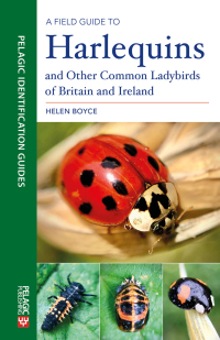Cover image: A Field Guide to Harlequins and Other Common Ladybirds of Britain and Ireland 1st edition 9781784272449