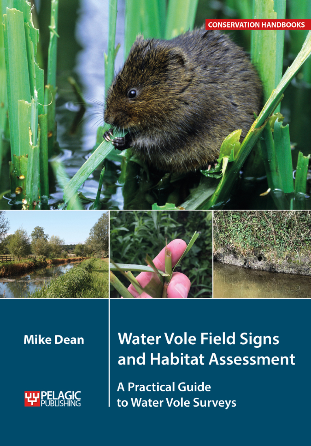 ISBN 9781784272548 product image for Water Vole Field Signs and Habitat Assessment - 1st Edition (eBook) | upcitemdb.com