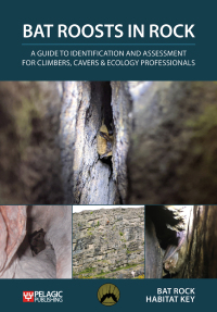 Cover image: Bat Roosts in Rock 1st edition 9781784272616
