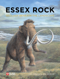 Cover image: Essex Rock 1st edition 9781784272791