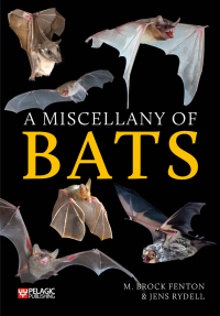 صورة الغلاف: A Miscellany of Bats 1st edition 9781784272944
