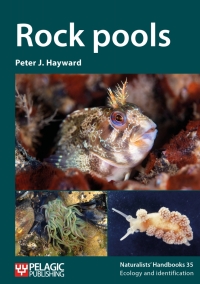 Cover image: Rock pools 1st edition 9781784273590