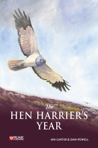 Cover image: The Hen Harrier's Year 1st edition 9781784273859