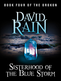 Cover image: Sisterhood of the Blue Storm 9781784297183