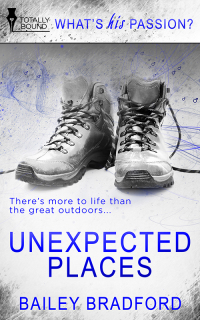 Cover image: Unexpected Places 9781784300883