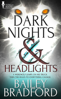 Cover image: Dark Nights and Headlights 9781784301033