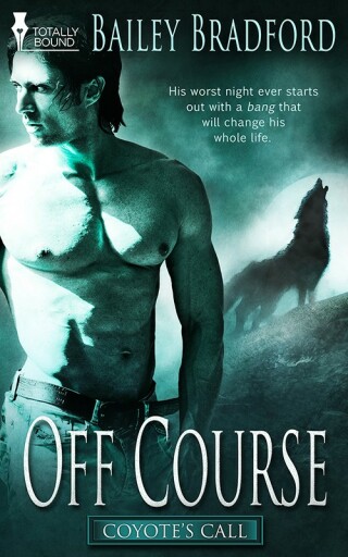 Cover image: Off Course 9781784302924