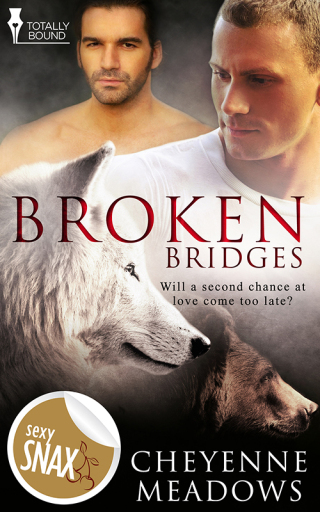 Cover image: Broken Bridges 9781784303464