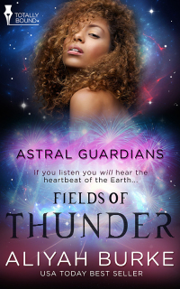 Cover image: Fields of Thunder 9781784303952