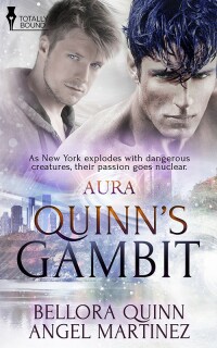 Cover image: Quinn's Gambit 9781784304423