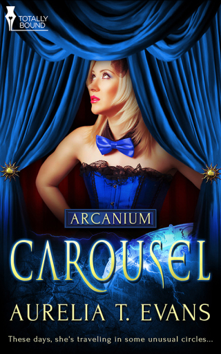 Cover image: Carousel 9781784306175