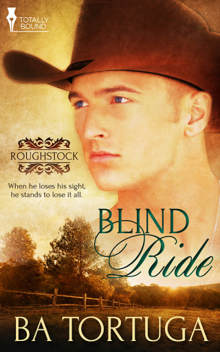 Cover image: Blind Ride 9781784306397