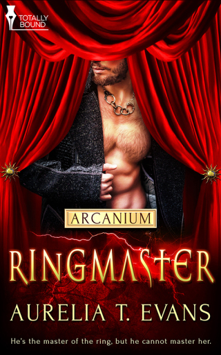 Cover image: Ringmaster 9781784307097