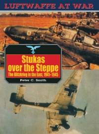 Cover image: Stukas Over the Steppe 9781853673559