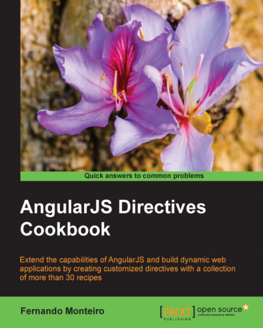 AngularJS Directives Cookbook 1st Edition