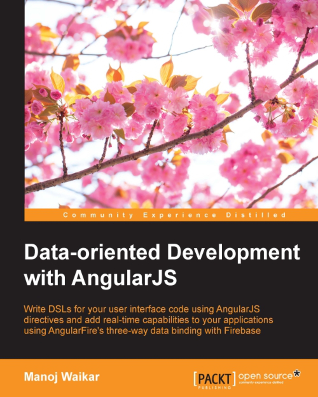 Data Oriented Development with Angularjs - 1st Edition (eBook)