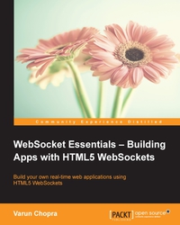 Cover image: WebSocket Essentials – Building Apps with HTML5 WebSockets 1st edition 9781784396756