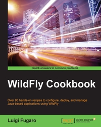Immagine di copertina: WildFly Cookbook 1st edition 9781784392413